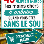 Sélection d'aliments frais, secs et en conserve pour un budget serré.
