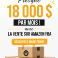 Illustration d'une femme utilisant un ordinateur pour gérer son business Amazon FBA.
