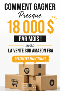 Illustration d'une femme utilisant un ordinateur pour gérer son business Amazon FBA.