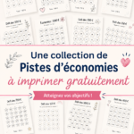Exemple de tracker d'économies personnalisé affiché sur un bureau.